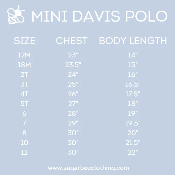 Davis Polo - Cape Cod Stripe